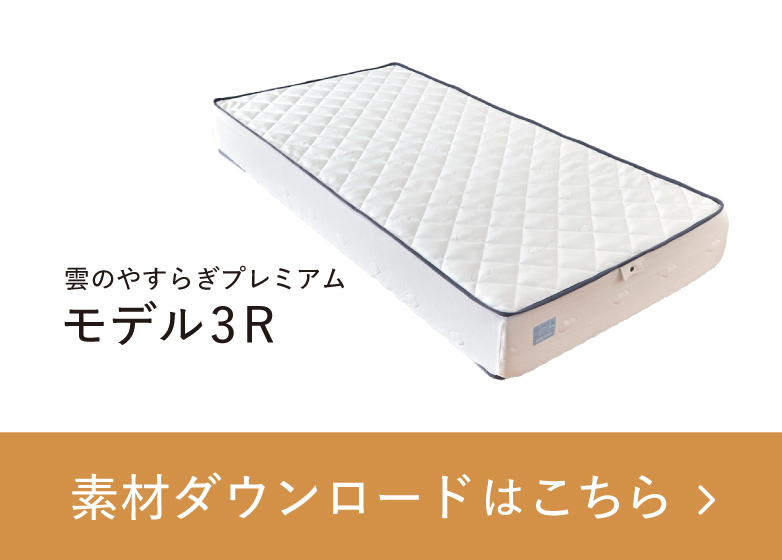 雲のやすらぎプレミアムモデル3R