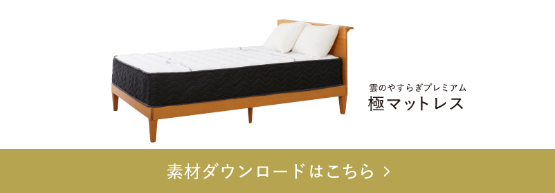 雲のやすらぎプレミアム極マットレス
